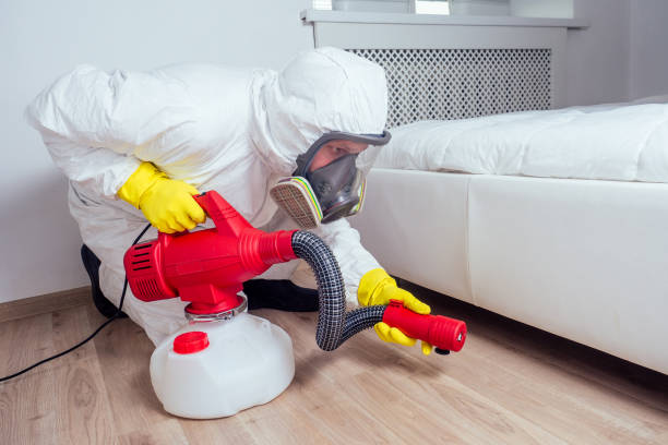 Wasp Removal Services in Perham, MN